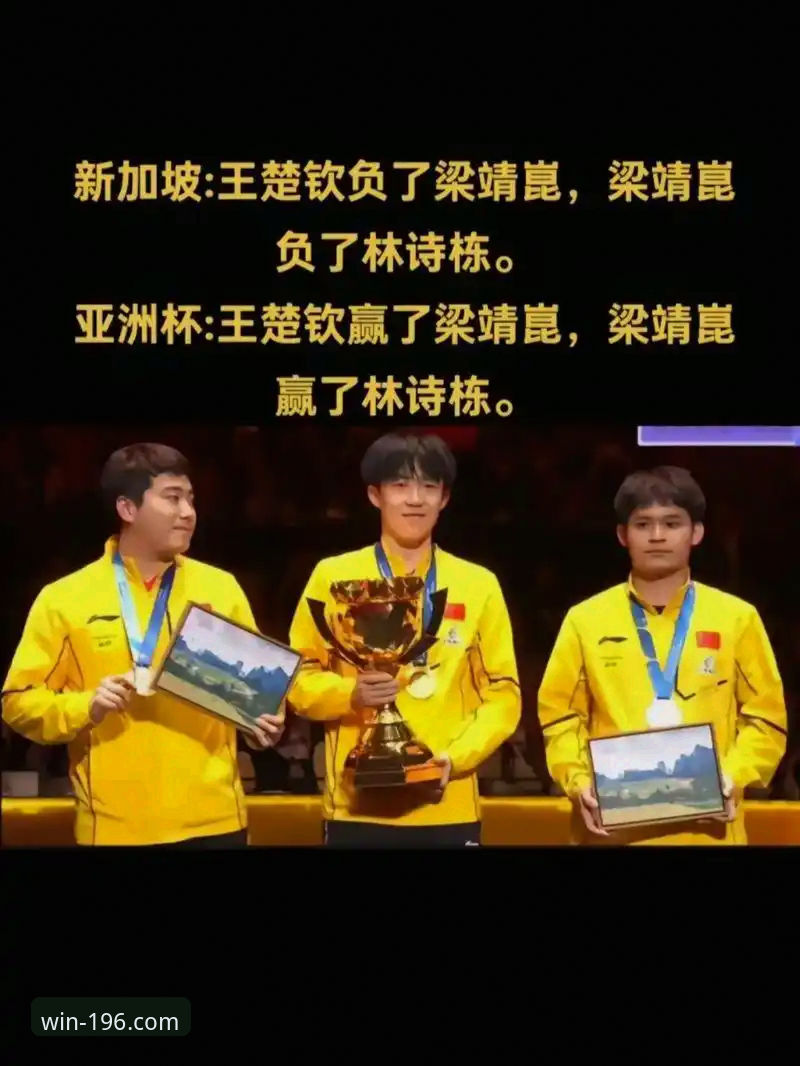 196娱乐平台观赛指南：林诗栋王楚钦梁靖崑横扫英格兰技术复盘